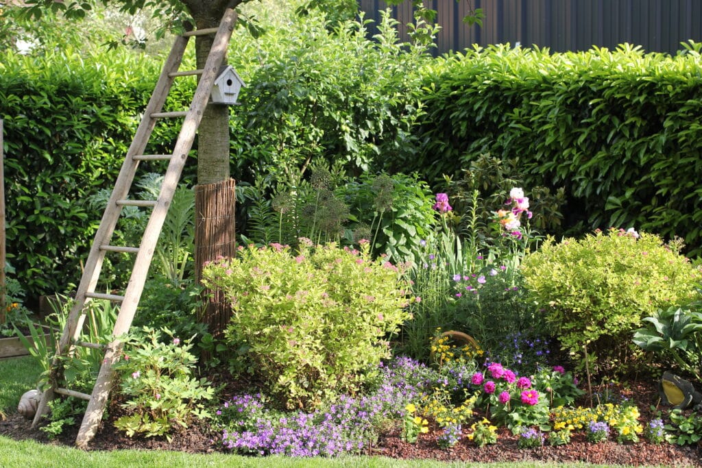 Jardin luxuriant ensoleillé avec échelle en bois, nichoir, buissons fleuris, iris violets, dahlias roses et statuettes.