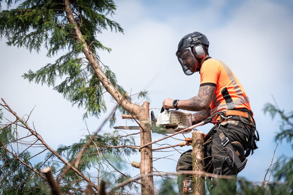 Élagueur en tenue de sécurité, casque et tronçonneuse, coupe des branches d'un arbre. Travail d'arboriste en hauteur.
